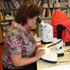 Ecomonitor Oy:n asiantuntijat tekev�t biologisia m��rityksi�